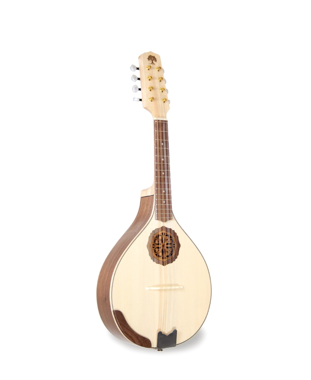 APC - Carvalho Root MDL SW