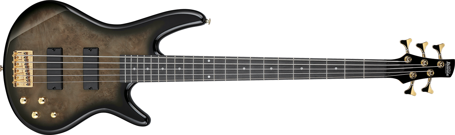 IBANEZ - GSR205PC-TPB