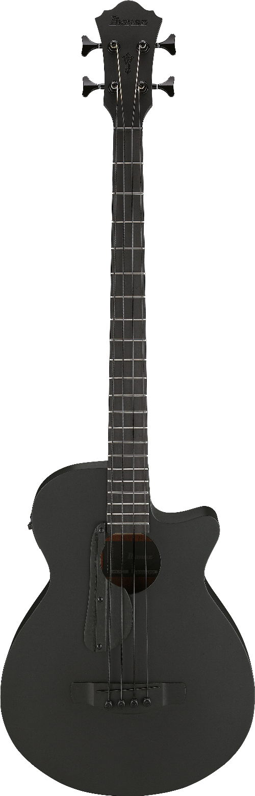 IBANEZ - AEGB420-BOT